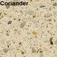 Coriander