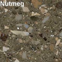 Nutmeg