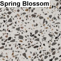Spring Blossom
