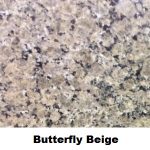 butterfly-beige-close-up-web