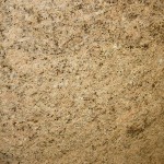 Gaillo Veneziano Close Up